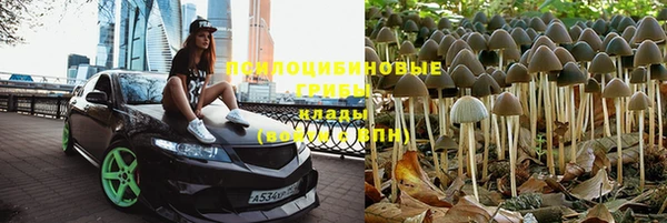 героин Каменка