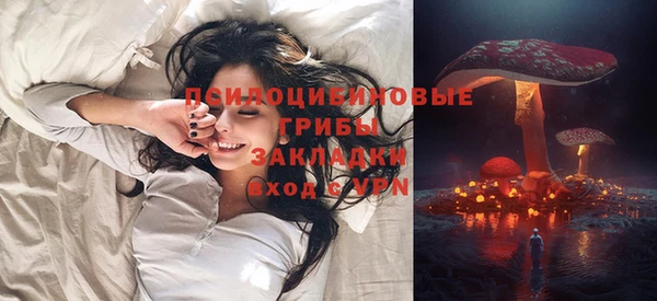 героин Каменка