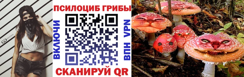 Псилоцибиновые грибы MAGIC MUSHROOMS  Купить где  Краснозаводск 